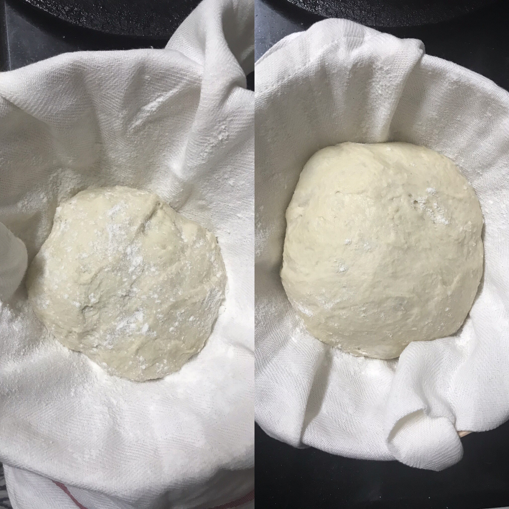 Dough proofed 10 hours in the refrigerator and shows visible expansion